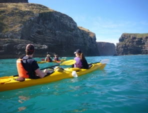 Kayak Adventure on the Banks Peninsula
